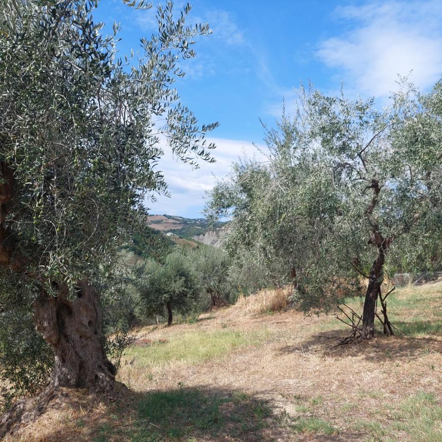 Villa Ferranti Abruzzo Montefino Eksteriør billede