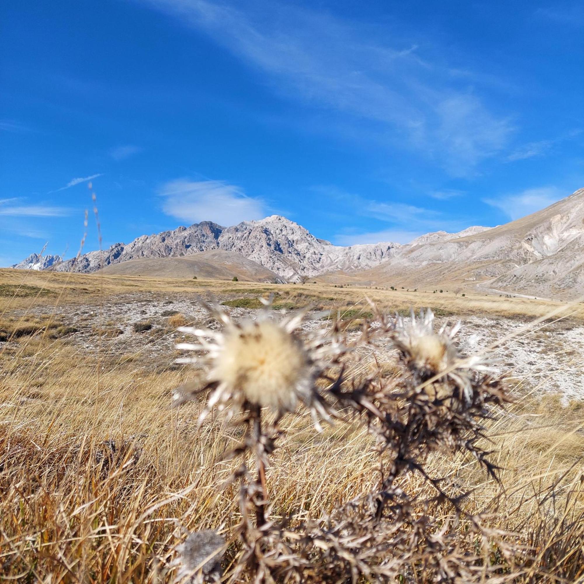 Villa Ferranti Abruzzo Montefino Eksteriør billede